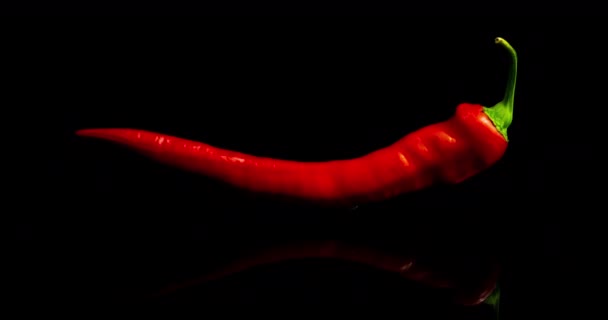 Время истечения срока высыхания красного перца на черном фоне, процесс сушки — стоковое видео