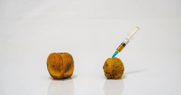 Peach rotting time lapse, le concept de modification de la cinétique végétale, rajeunissement médical du corps, diverses procédures cosmétiques — Video