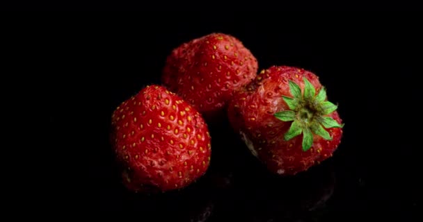 Fresa se pudre sobre un fondo negro, lapso de tiempo, macrofotografía — Vídeos de Stock