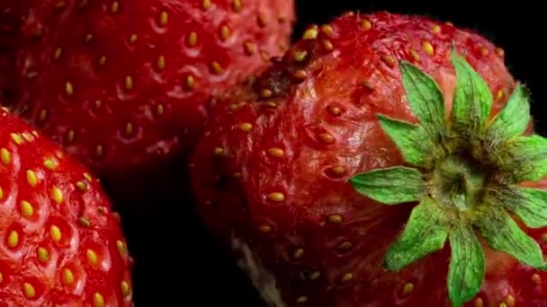 Strawberry rots on a black background, time lapse, macro photography — Stock Video