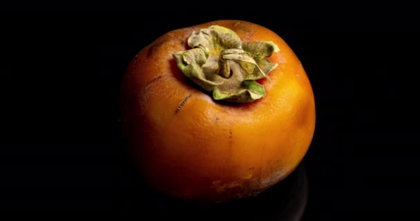 Gele persimmon op een zwarte achtergrond rotten, time lapse, 4k video — Stockvideo