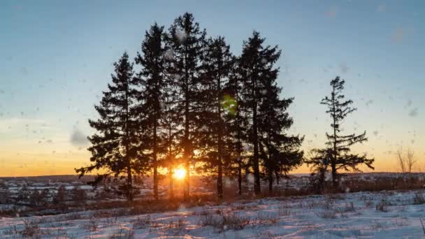 Romantik sisli günbatımıyla muhteşem bir kış manzarası. Kışın karlı ormanda hafif kar yağışı. Kış günbatımının zaman aşımı — Stok video