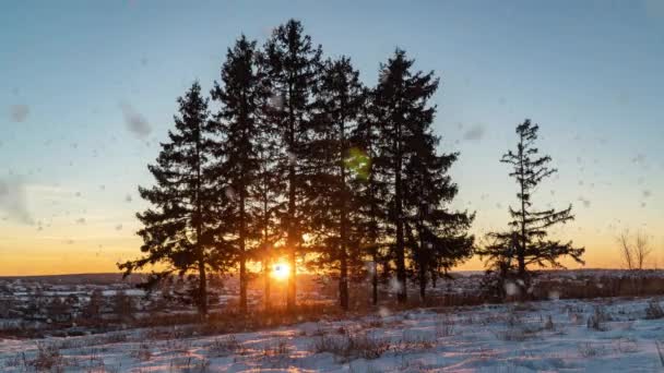 Paisagem de inverno incrível com o pôr-do-sol nebuloso romântico. Queda de neve suave na floresta nevada de inverno. Tempo de pôr-do-sol de inverno — Vídeo de Stock