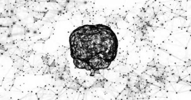 Dönen insan beyni. Pleksus yapısı gelişiyor. Kusursuz döngü