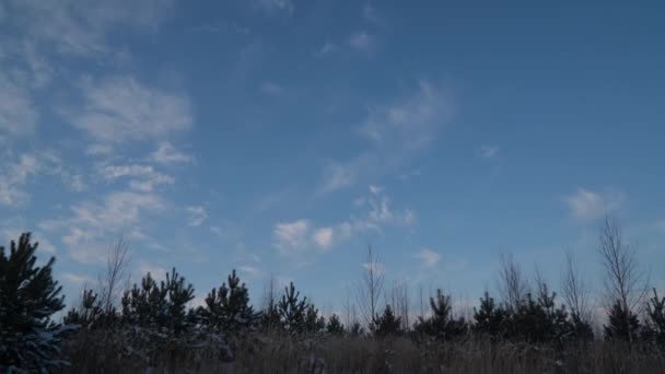 Mouvement simultané de nuages de différents niveaux, laps de temps. — Video