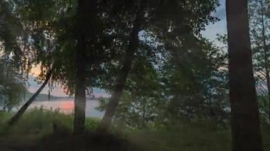 Kışın kar ormanlarında hızlı düşüş, kar yağışı, güzel kış manzarası ve kar yağışı