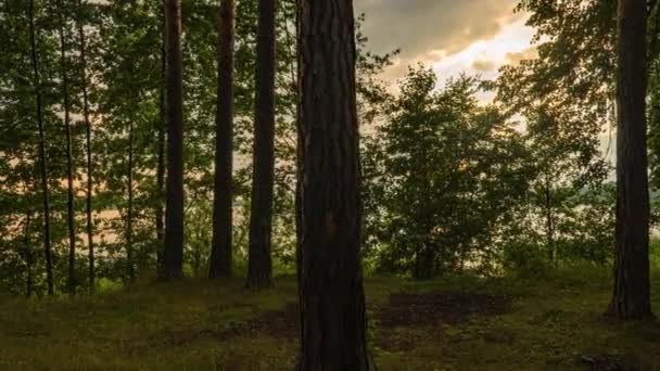 Piękny letni zachód słońca w lesie nad jeziorem leśnym, Hyperlapse, ruch kamery — Wideo stockowe