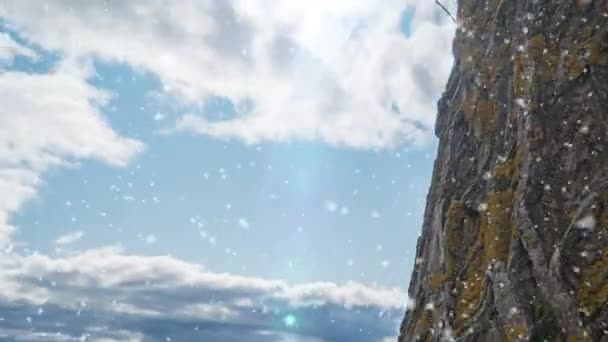 Time lapse κατά μήκος ενός κορμού δέντρου με χιονόπτωση, χειμερινό τοπίο — Αρχείο Βίντεο