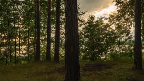 Hermoso atardecer de verano en el bosque junto al lago del bosque, hiperlapso, movimiento de la cámara — Vídeo de stock