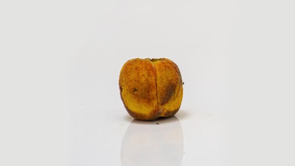 Time lapse of peach rotting on a white background, the process of decomposition and decay, shooting period 10 days — Stock Video