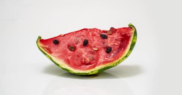 Piece of ripe watermelon rots on white background, time lapse, educational cognitive video — Stock Video