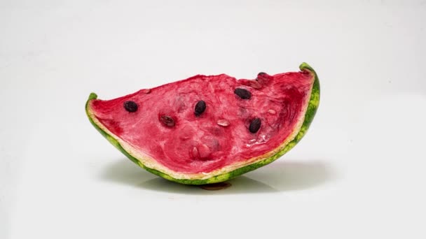 Piece of ripe watermelon rots on white background, time lapse, educational cognitive video — Stock Video