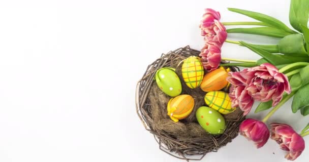 Feliz Pascua. Huevos pintados en un nido con tulipanes rosados florecientes sobre un fondo blanco. Primer plano de un nido decorativo con huevos de colores para las vacaciones de Pascua. Flores florecientes, 4k. — Vídeos de Stock