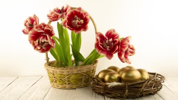 Bellissimo bouquet di fiori di tulipani rossi in un cesto e con uova d'oro pasquali nel nido su uno sfondo di legno bianco. Timelapse di fiori di tulipano rosso apertura. Primavera. Concetto pasquale. Vacanze — Video Stock