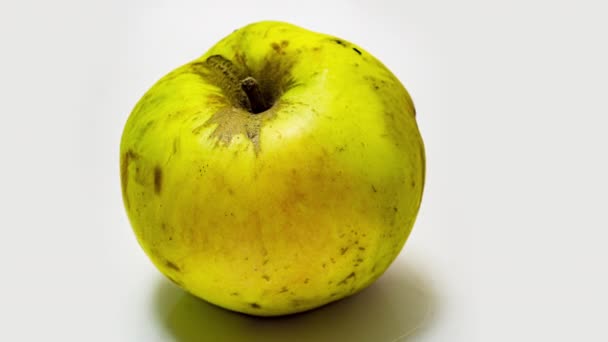 Tidsförlopp för äppelröta — Stockvideo