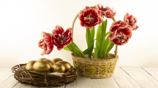 Όμορφο μπουκέτο από κόκκινες τουλίπες λουλούδια σε καλάθι και με πασχαλινά χρυσά αυγά στη φωλιά σε λευκό ξύλινο φόντο. Timelapse κόκκινο λουλούδι τουλίπας άνοιγμα. Άνοιξη. Η ιδέα του Πάσχα. Διακοπές — Αρχείο Βίντεο