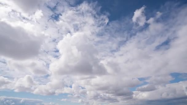 Kék égbolt, fehér felhők. Puffadt, bolyhos fehér felhők. Kumulus felhő felhő felhő időtáj. A nyári kék ég időeltolódása. Természet időjárás kék ég. Fehér felhők háttér. Felhő idő lapse természet háttér — Stock videók