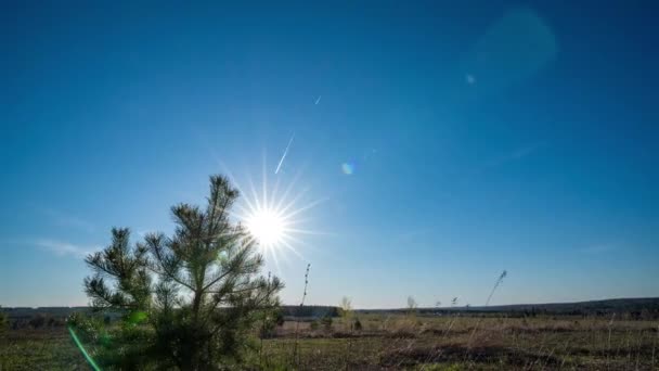 Beau coucher de soleil dans le champ, le soleil passe à travers l'arbre — Video