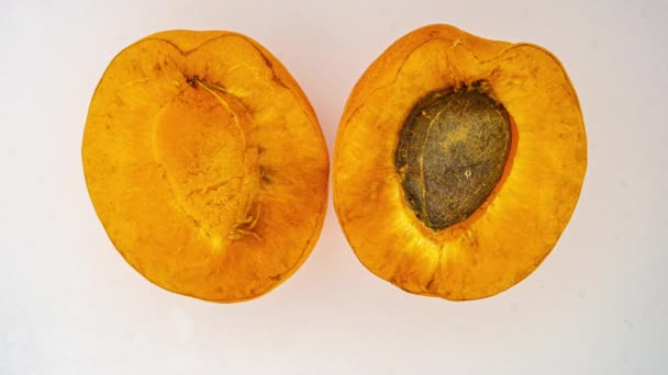 Rotting aprikos tid förfaller, på en vit bakgrund, spridning och tillväxt av mögel — Stockvideo
