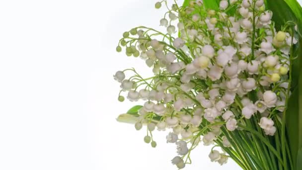 Μπουκέτο με όμορφα λευκά λουλούδια που ανθίζουν σε λευκό φόντο. Τα κρίνα της κοιλάδας ανοίγουν από κοντά. Τιμελίπε. 4K. Άνοιξη, Happy Mothers Day, γενέθλια, διακοπές, αγάπη, ευχετήρια κάρτα. — Αρχείο Βίντεο