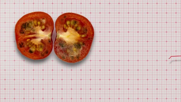 Rotting tomat på en vit bakgrund, tid förflutit mögel tillväxt på en skuren tomat 4k — Stockvideo