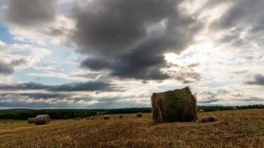 4K UHD düz tepe çayırlık zaman dilimi yaz günbatımında. Vahşi doğa ve çim tarlasında kırsal samanlıklar. Güneş ışınları ve yeşil ağaçlar. Motorlu doli kaydırıcı