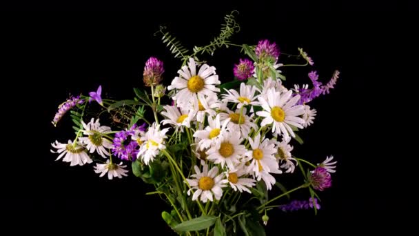 Flores de camomilas bonitas brancas. Um ramo de flores de campo, margaridas. Close-up. Camomilas de verão. Flores à base de plantas. Camomilas em flor fecham-se. 4k time-lapse — Vídeo de Stock