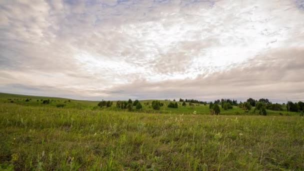 背景には白い雲が立ち並ぶ青空が広がる強い風に、鮮やかな緑の草原が広がっています。草の上のカメラの動き。4K — ストック動画