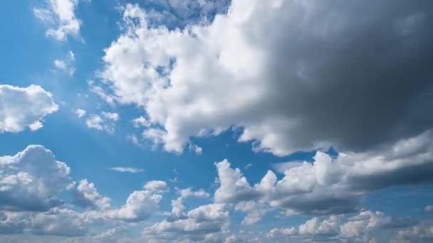 Céu azul nuvens brancas. Nuvens brancas macias inchadas. Cumulus cloud cloudscape timelapse. Verão céu azul lapso de tempo. Natureza tempo céu azul. Nuvens brancas fundo. lapso de tempo na nuvem, loop de vídeo — Vídeo de Stock