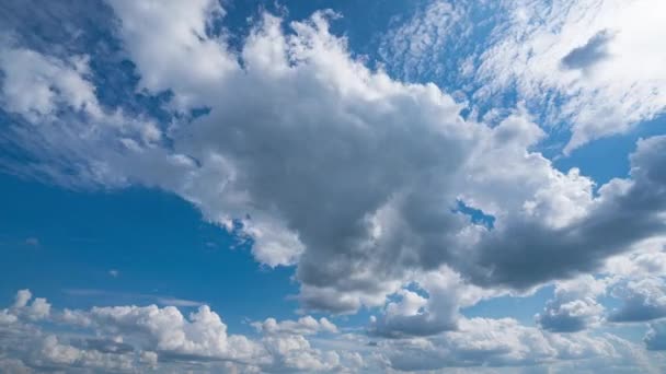青い空の白い雲。ふわふわの白い雲。積雲の雲の時間経過。夏の青空の時間の経過。自然の天気青い空。白い雲の背景。雲の時間経過自然背景. — ストック動画