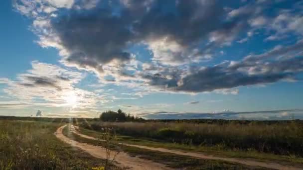 Hyperlapse van zonnebloemen veld bij zonsondergang. Prachtig zomers landschap — Stockvideo