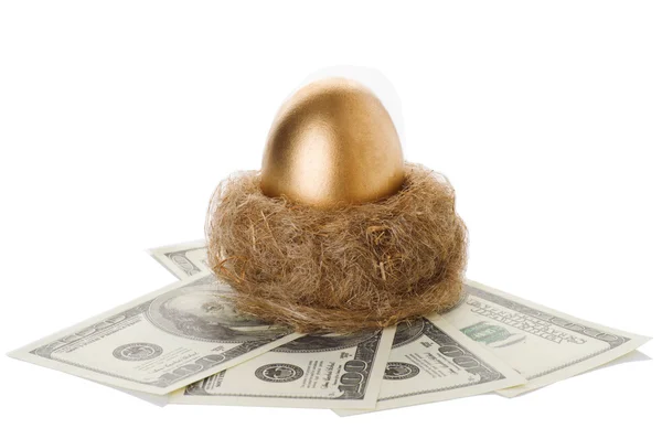 Zlaté vejce v hnízdě s penězi — Stock fotografie