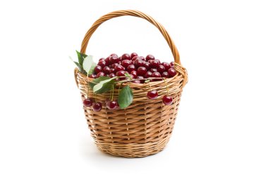 Sepet beyaz zemin üzerine kırmızı taze kiraz dolu