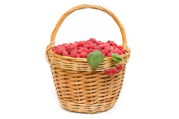 Frische reife rote Himbeeren in einer Weidenschale — Stockfoto