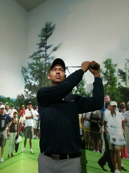 Tiger Woods balmumu heykel