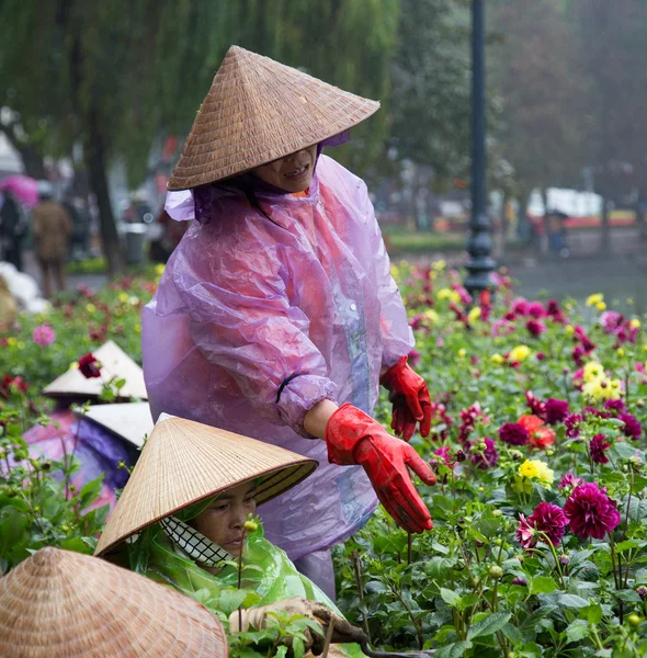 Азиатские садовники в традиционных конических шляпах — стоковое фото