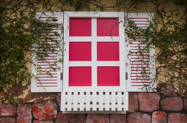 Fensterrahmen des alten Gebäudes mit Reben — Stockfoto