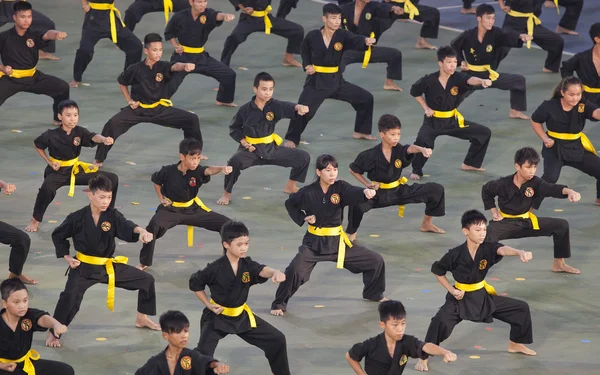 Vietnamees pugilists in klederdracht — Stockfoto