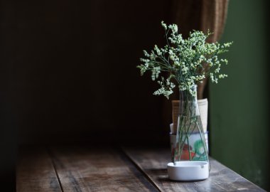 ahşap masa üzerinde bitki ve kül tepsisi