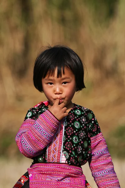 Хмонг дівчина сидить на купу дров — стокове фото
