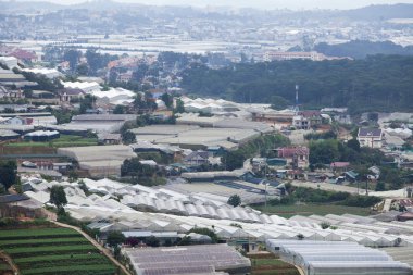 Sebze Bahçe, bitki örtüsü altında naylon çerçeve