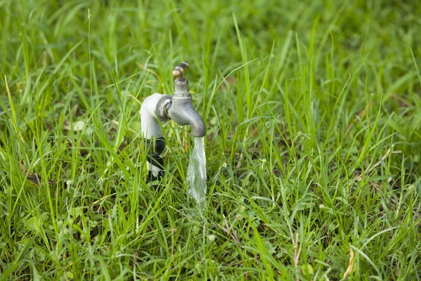 Faucet on green grass garden. Wastage of water — Stock Photo, Image