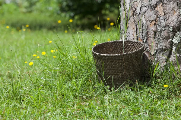 Bamboo basket, garbage bin on green grass — Stock Photo, Image