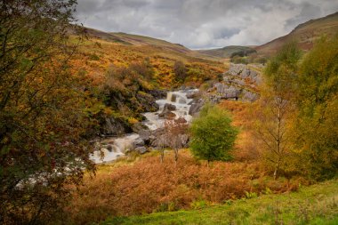 Powys, Mid Wales, İngiltere 'deki Elan Vadisi rezervuar bölgesinden akan bir nehir.