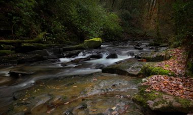 İngiltere 'nin Güney Galler' deki Swansea Vadisi 'ndeki Pontardawe kasabasından geçen Yukarı Clydach Nehri' nde sonbahar.