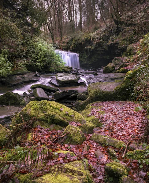 Höstfärger Floden Clydach Som Går Genom Staden Pontardawe Swansea Valley — Stockfoto