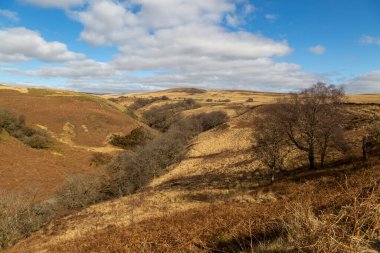Güney Galler 'deki Brecon Beacons' un kıyısındaki Afon Twrch Vadisi.