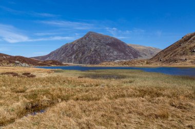 Pen yr Ole Wen, 978 metre yüksekliğiyle Snowdonia 'nın ve Galler' in en güneydeki yedinci dağıdır.