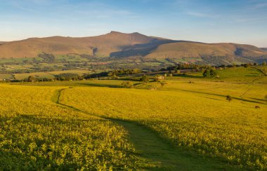 Brecon Beacons, Penyfan ve Corn Du 'daki en yüksek zirvelerin manzarası, İngiltere' nin Güney Galler 'deki Mynydd Illtyd yamaçlarından.