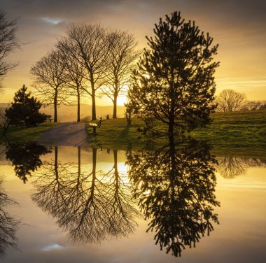 Günbatımı ve bir bank Swansea, Güney Galler 'deki Ravenhill parkına yansıdı.